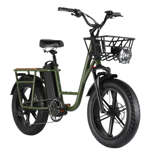 [Amperbike0002] Fiido T1 Pro